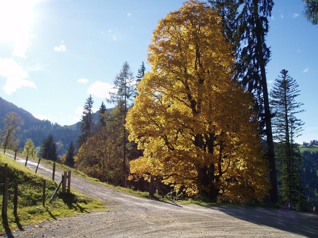 Hacklbauer Altenmarkt im Pongau Exterior foto